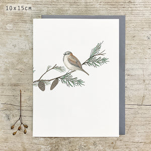 EOI Card Sparrow & Branch