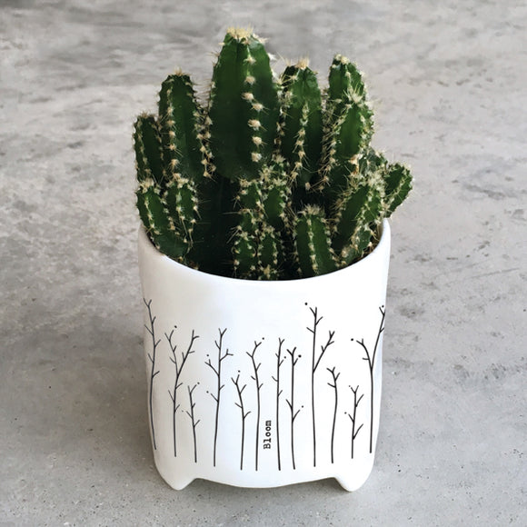 Bloom planter by East of India