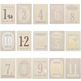 Baby's Firsts Milestone cards