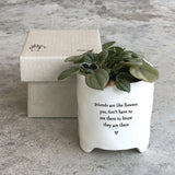Friends are like Flowers planter by East of India