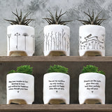 Bloom planter by East of India