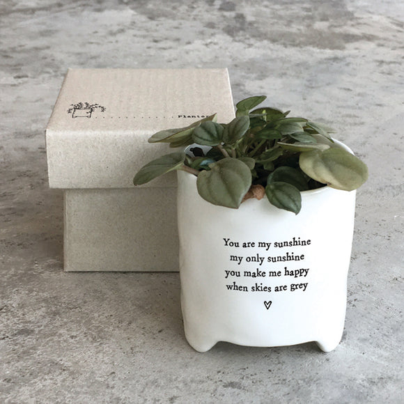 You are my sunshine planter by East of India