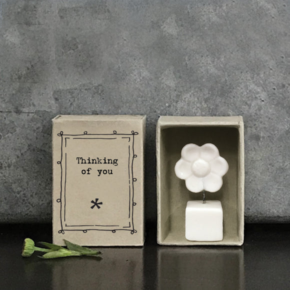 Thinking of you” flower in a pot matchbox gift